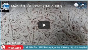 Video: Máy cán bột SXY-25 (TMTP-LB07)